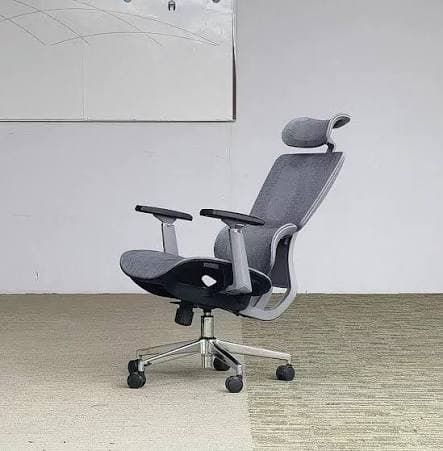 Ergonomics Home Office Chair S121